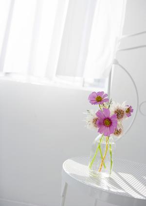 浜松でお風呂に開放感を出したいなら