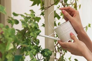 神奈川県横浜市にあるタカラスタンダード横浜ショールームの魅力と店舗情報