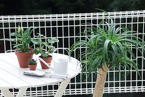 ペルシャ絨毯の選び方とメンテナンスガイド：美しさを長持ちさせるための秘訣