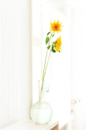 北海道札幌ショールーム｜タカラスタンダードの最新設備と便利なサービス情報