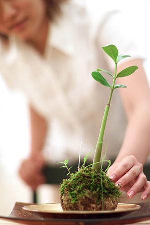 大切な陶器は捨てずに修復の検討を