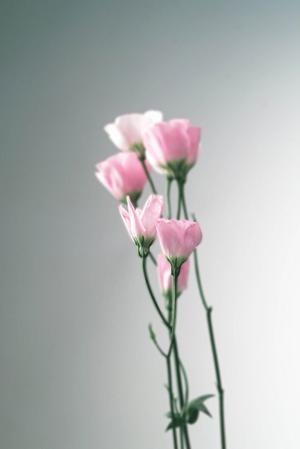 ご自宅の建築前にモデルハウスは見るべき