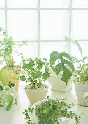 マットレスのコイルをチェックする